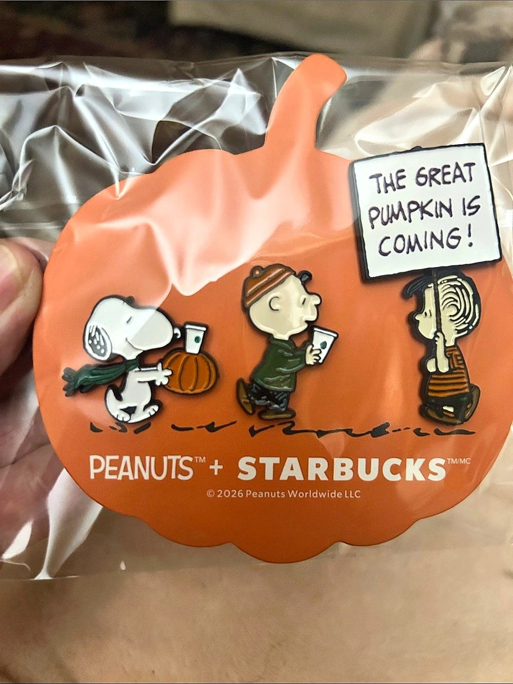 Starbucks Peanuts x Starbucks Pumpkin Accessory NWT